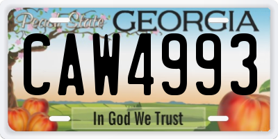 GA license plate CAW4993