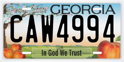 GA license plate CAW4994
