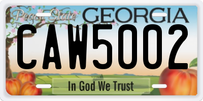 GA license plate CAW5002