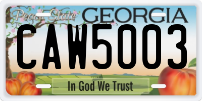 GA license plate CAW5003