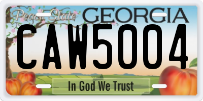 GA license plate CAW5004