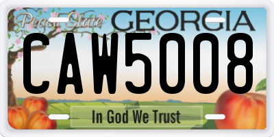 GA license plate CAW5008
