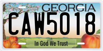 GA license plate CAW5018