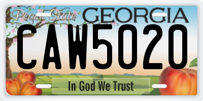GA license plate CAW5020