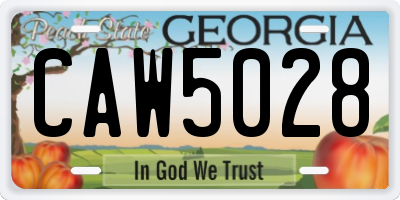 GA license plate CAW5028