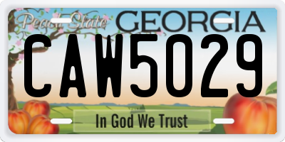 GA license plate CAW5029