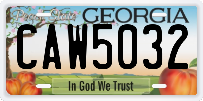 GA license plate CAW5032