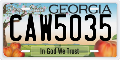 GA license plate CAW5035