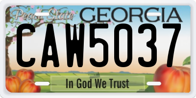 GA license plate CAW5037
