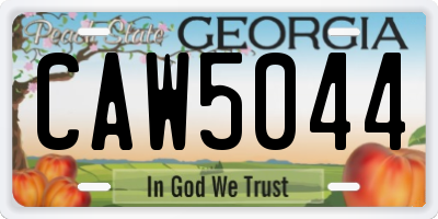 GA license plate CAW5044