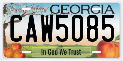 GA license plate CAW5085