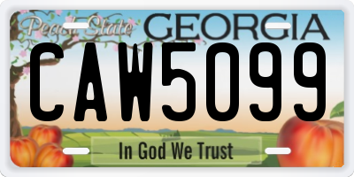 GA license plate CAW5099
