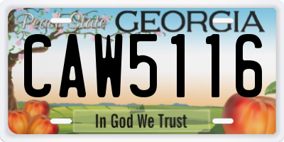 GA license plate CAW5116