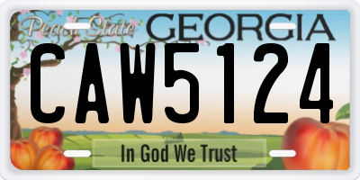 GA license plate CAW5124