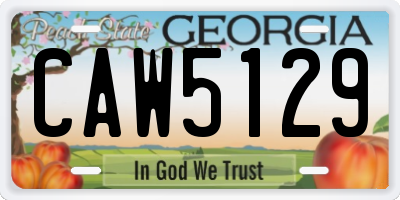GA license plate CAW5129