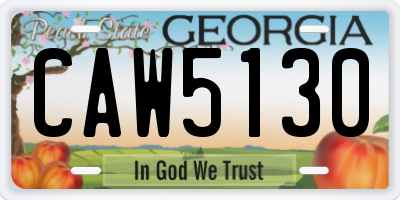 GA license plate CAW5130