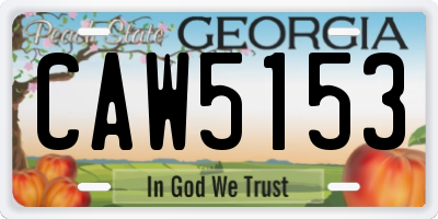 GA license plate CAW5153