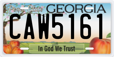 GA license plate CAW5161