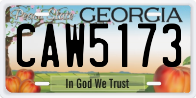 GA license plate CAW5173
