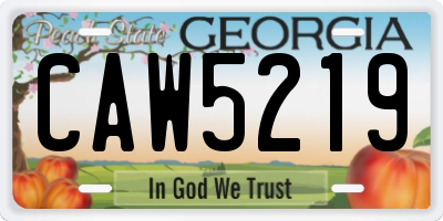 GA license plate CAW5219