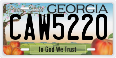 GA license plate CAW5220