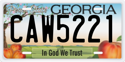 GA license plate CAW5221