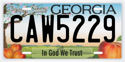 GA license plate CAW5229