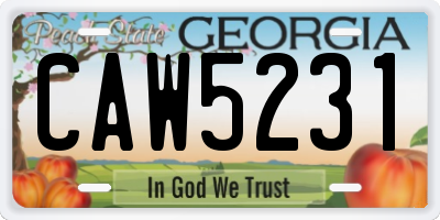 GA license plate CAW5231