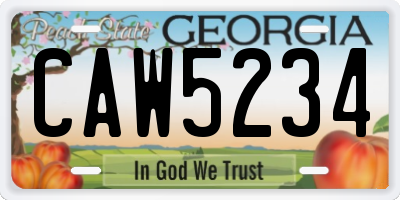 GA license plate CAW5234