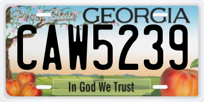 GA license plate CAW5239