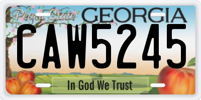 GA license plate CAW5245