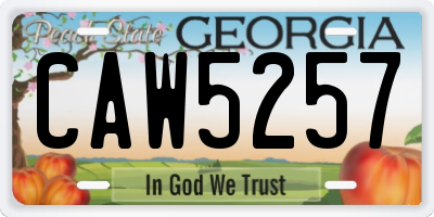 GA license plate CAW5257