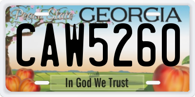 GA license plate CAW5260