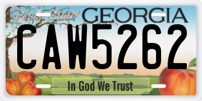 GA license plate CAW5262