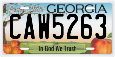 GA license plate CAW5263