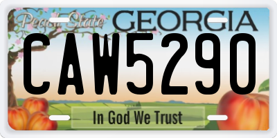 GA license plate CAW5290