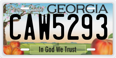 GA license plate CAW5293