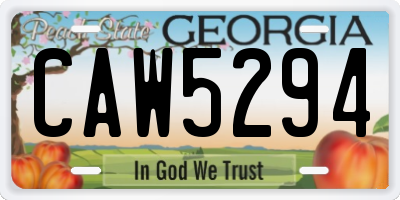 GA license plate CAW5294