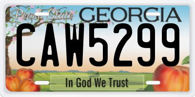 GA license plate CAW5299