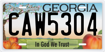 GA license plate CAW5304