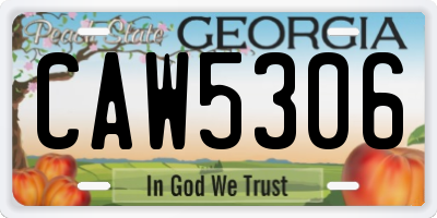 GA license plate CAW5306