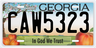 GA license plate CAW5323