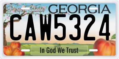 GA license plate CAW5324