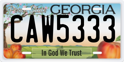 GA license plate CAW5333