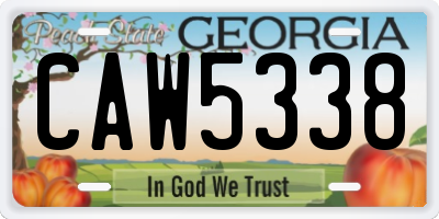 GA license plate CAW5338