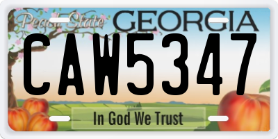 GA license plate CAW5347