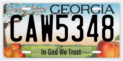 GA license plate CAW5348