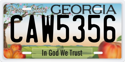 GA license plate CAW5356