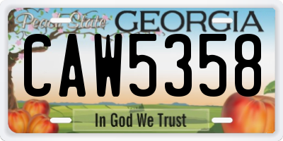 GA license plate CAW5358