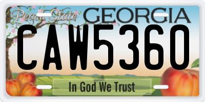 GA license plate CAW5360